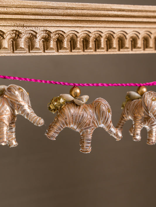 Rani Haathi Chanchal Toran | Bandhanwaar