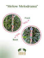Load image into Gallery viewer, Melow Melodrama Bottle Green Navratna Patola + Pink Navratna Patola Lumba Side hanging
